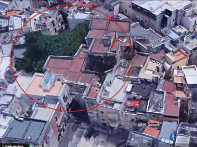 Altro particolare che rende (ancora oggi) questo edificio un prezioso gioiello della citt� antica, � il suo enorme giardino pensile. Troviamo conferma del giardino su Google Earth, dove la panoramica dall'alto ci consente di notare un macchia verde che straripa dal palazzo assumendo le sembianze di una vera e propria foresta